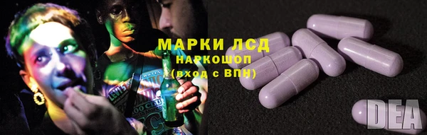 амф Богданович