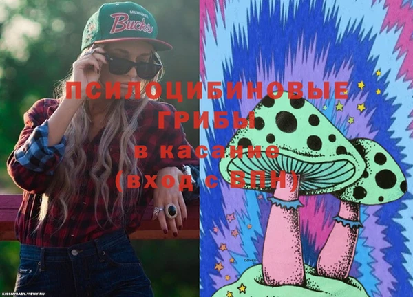 амф Богданович