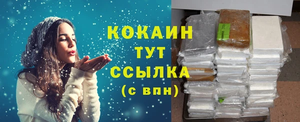 амф Богданович