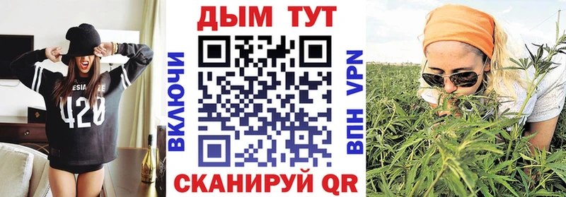 mega вход  где купить наркоту  Котлас  Бошки марихуана план 